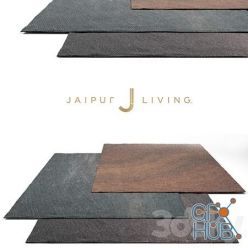 3D model Jaipur Living Shags Rug Set 1