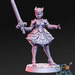 3D model Destiny - Female Warrior