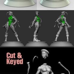 3D model Cammy White Street Fighter – 3D Print