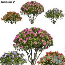 3D model Rhododendron 04 (max, fbx)