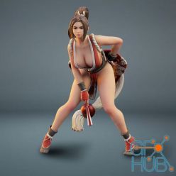 3D model Mai Shiranui