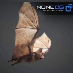 3D model Vampire Bat Animated