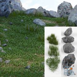 3D model Grass and stones SRG