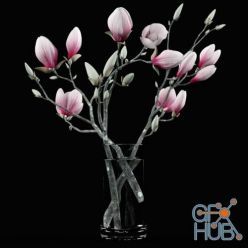 3D model Magnolia branches in a vase
