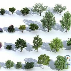 3D model Bush and Trees
