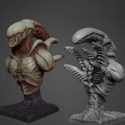 3D model Xenomorph Bust PBR