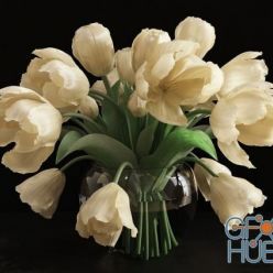 3D model White tulips