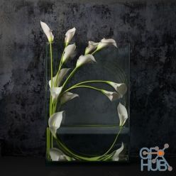 3D model White callas in vase