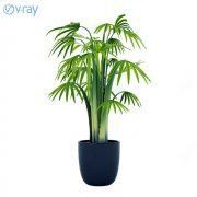 3D model A big palm tree