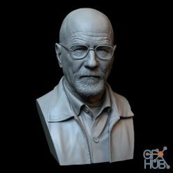 3D model Bust Mr. White - Breaking Bad - 3D Print