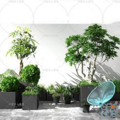 3D model Plant Compilation 40