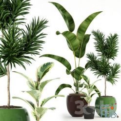 3D model Plants collection 85