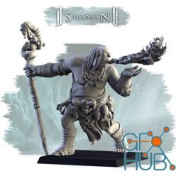 3D model Shaman – 3D Print