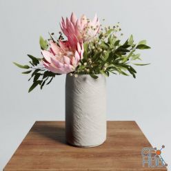 3D model Protea Set With Baby Breaths