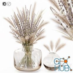 3D model Dry flowers in glass vase with lavender
