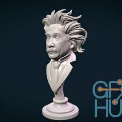 3D model Einstein – 3D Print