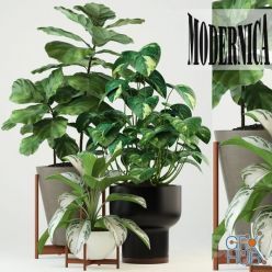 3D model Plants collection 74 Modernica pots