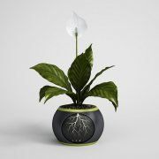 3D model Smart–flowerpot with spathiphyllum