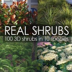 3D model VIZPARK – Real Shrubs (3ds Max only)