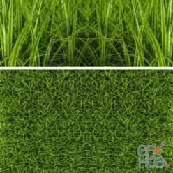 3D model GRASS 2012