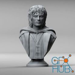 3D model Frodo Baggins Bust – 3D Print