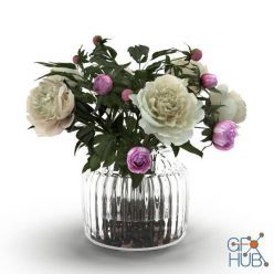 3D model Cream Peonies Ribbed Glass Vase (max, fbx)