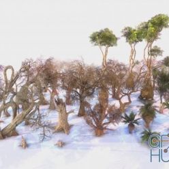 3D model CGTrader – Low Poly Tree Pack Low-poly 3D model