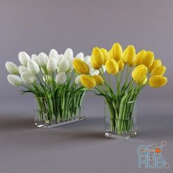 3D model White and yellow tulips