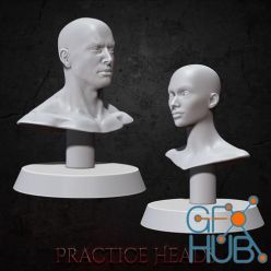 3D model Practice Busts – 3D Print