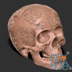 3D model Viking Skull – 3D Print