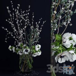 3D model Anemones and branches