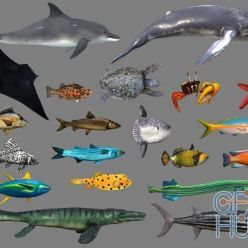 3D model Cubebrush – Low poly Fish Collection Animated Pack 4