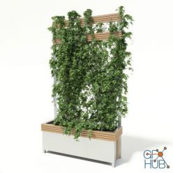 3D model Flower box with ivy