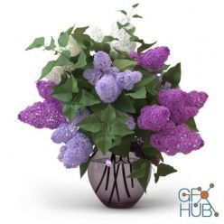3D model Bouquet lilac in a vase