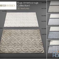 3D model RugsAmerica rugs 1
