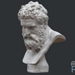 3D model Marble Bust Farnese Hercules PBR