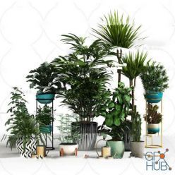 3D model Plant Compilation 36