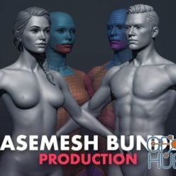 3D model Basemesh Bundle