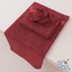 3D model Towel flower