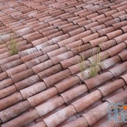 3D model Italian Roof Tiles