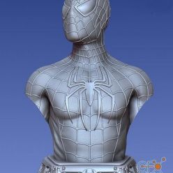 3D model Sam Raimi Spider Man – 3D Print