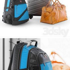 3D model Travel bag set