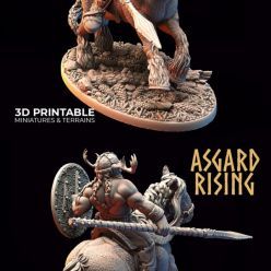 3D model Asgard Rising - Viking Rider 2