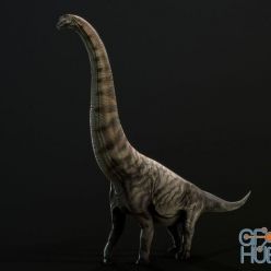 3D model Brachiosaurus altithorax PBR