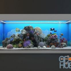 3D model Seawater aquarium