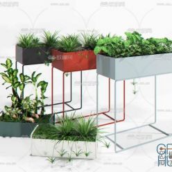 3D model Plant Compilation 85