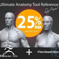 3D model Gumroad – Ultimate Anatomy Tool Reference For Artists