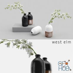 3D model Westelm vases with Orchids (max, fbx)