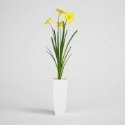 3D model Yellow flowers in a white pot