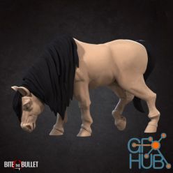 3D model Horse eating